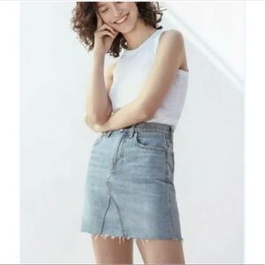 Everlane The Denim Reconstructed Skirt